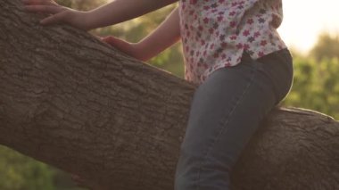 bir ağaç dalı parkta oturan çocuk ve bacaklarını sallanır. Yaz aylarında açık havada oynayan küçük bir kız. bir çocuk macera arayışı içinde. ağır çekim