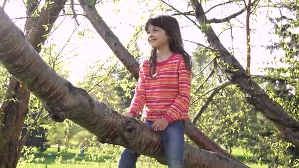 子は、木を登っています。小さな女の子は、屋外で遊んでいます。子供たちの冒険。幸せな屈託のない子供時代. — ストック動画