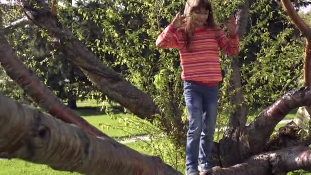 L'enfant grimpe à l'arbre. La petite fille joue en plein air. Aventure d'un enfant. Heureuse enfance insouciante . — Video