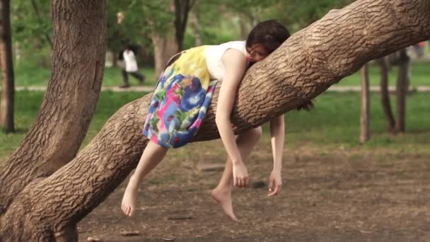 Flickan väldigt rolig liggande på grenen av ett träd dinglar ner sina armar och ben. vacker flicka drömmer i parken liggande på en trädgren. vackra brunett ler och skrattar. slowmotion — Stockvideo