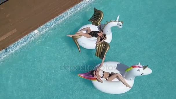 Aéreo - mulheres jovens que tomam banho de sol em colchões aéreos o unicórnio e o Pegasus. As meninas atraentes descansam em um dia ensolarado na piscina. Tiro com quadrocopter — Vídeo de Stock