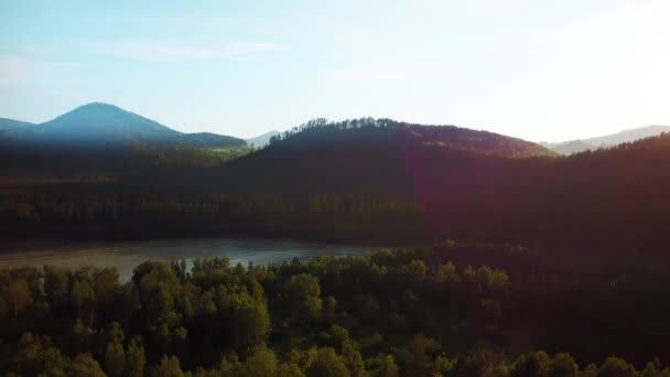 Aerial panorama of the green forest and river near mountains. Altai, Siberia. Aerial camera shot — Stock Video