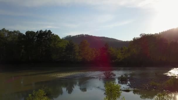 Panorama aérien de la forêt verte et de la rivière près des montagnes. Altaï, Sibérie. Caméra aérienne prise — Video