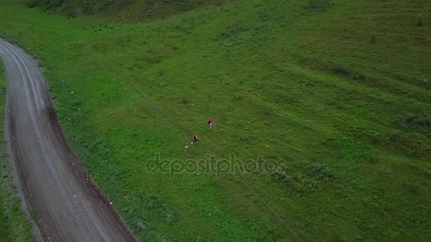 Luchtfoto. gelukkige familie gingen kamperen. ouders lopen samen met hun jonge kinderen op een weide aan de voet van de bergen. Altaj, Siberië. Luchtfoto camera schot — Stockvideo