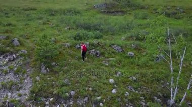 Hava. Kız gezgin bir çayırlarda gider. Altay, Sibirya. Hava kamera vurdu