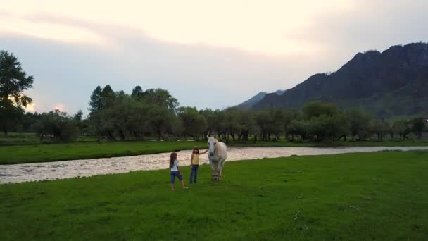 Aereo. i bambini su un prato ai piedi delle montagne giocano con il cavallo selvatico. due sorelle bambine nel villaggio. Fotocamera aerea ripresa — Video Stock