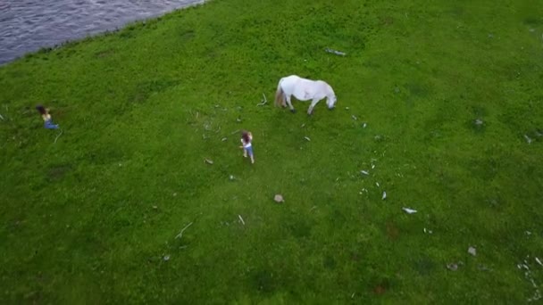 Aereo. i bambini corrono e giocano nel prato. due sorelle bambine trascorrono del tempo insieme all'aperto. Fotocamera aerea ripresa — Video Stock