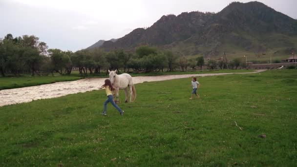 Due bambine che girano intorno al prato intorno ai cavalli. i bambini giocano all'aperto in un prato. rallentatore — Video Stock