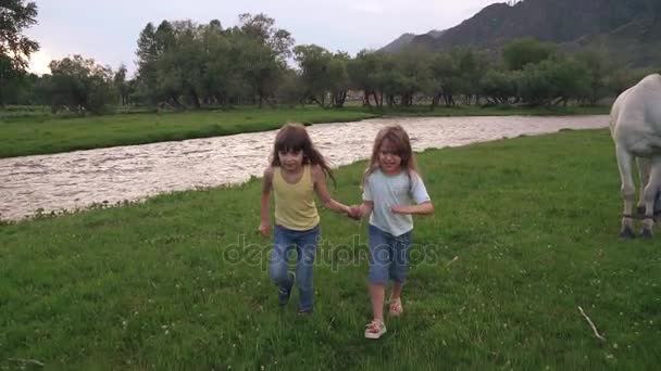 Kinder rennen über die Wiese und halten sich an den Händen. Zwei kleine Mädchen haben Spaß und lächeln unbeschwert. Zeitlupe — Stockvideo