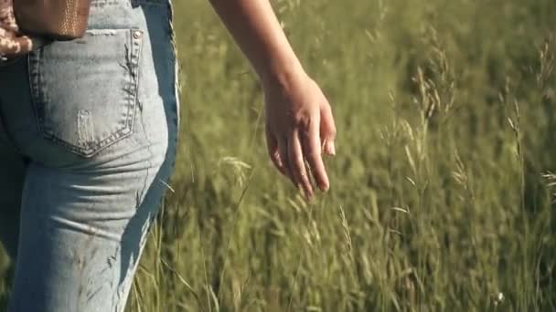 Penjelajah gadis berjalan melalui rumput tinggi. Penjelajah wanita muda menyentuh rumput dan menikmati mendaki. gerak lambat — Stok Video