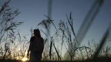 Gün batımında güzel kız. Genç kadın bir çayırlarda uzun çimenlerin üzerinde yürüyüş