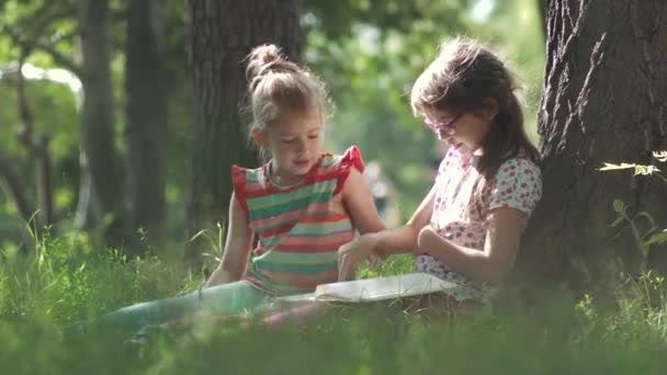 Kinder lesen draußen im Gras neben einem Baum ein Buch. zwei kleine Mädchen haben Spaß zusammen — Stockvideo