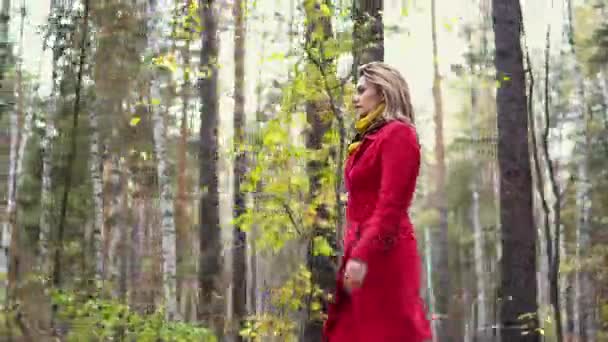 Jonge vrouw in een rode jas wandelen langs een herfst park. mooi meisje genieten van een warme herfst middag — Stockvideo