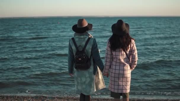 Dos chicas en la orilla del mar admiran la hermosa vista. novias pasar tiempo juntos al aire libre . — Vídeos de Stock