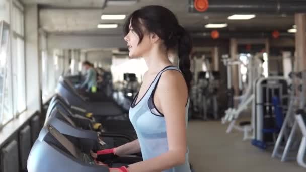 Mujer joven camina en una caminadora en el gimnasio. ejercicios de cardio en el gimnasio — Vídeos de Stock