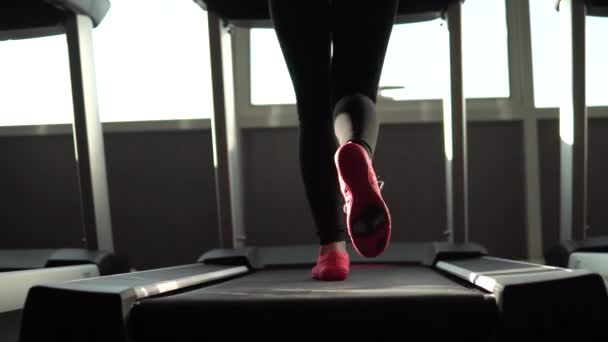 Piernas de cerca de una chica corriendo en la cinta de correr. cardio en el gimnasio . — Vídeos de Stock