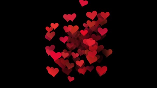 animation pour la Saint Valentin. coeurs volant à travers l'écran 