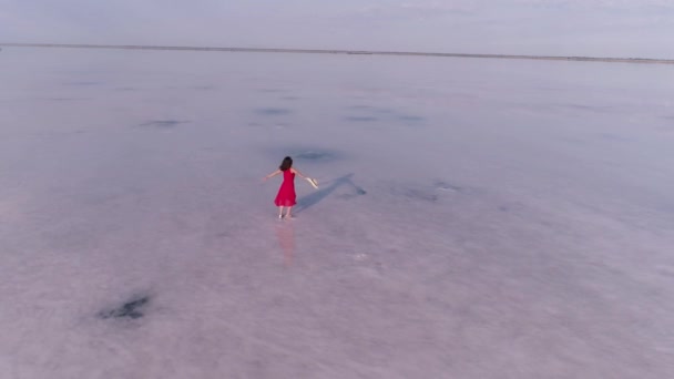 Дівчата мандрівники в червоній сукні гуляють на рожевому озері. вид з повітря — стокове відео