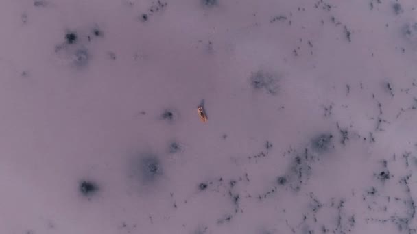 Молода жінка в сонцезахисних окулярах лежить на повітряному матраці. дівчина плаває в сонячно-рожевому озері. вид зверху . — стокове відео