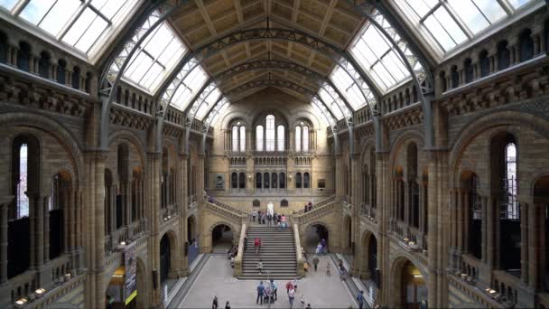 Londres Inglaterra Septiembre 2016 Gente Visita Museo Historia Natural Londres — Vídeos de Stock