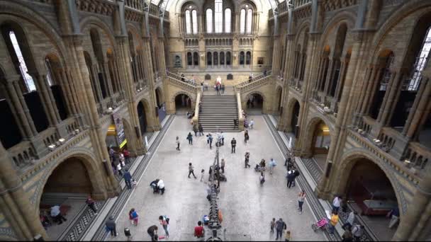 London England September 2016 Menschen Besuchen Naturkundemuseum London — Stockvideo