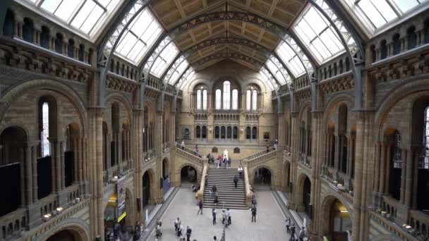 伦敦自然历史博物馆入口大堂的广角空中景观 英格兰 2016年9月16日 — 图库视频影像