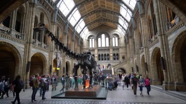 Vista Aerea Grandangolare Sull Ingresso Del Museo Storia Naturale Londra — Video Stock