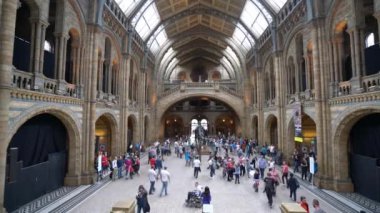 Londra / İngiltere'de - 19 Eylül, 2016:People ziyaret Doğal Tarih Müzesi Londra, İngiltere