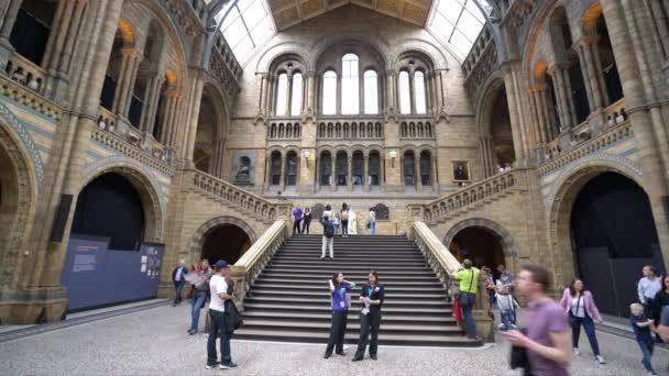 Amazing Natural History Museum Londres Londres Inglaterra Septiembre 2016 — Vídeos de Stock