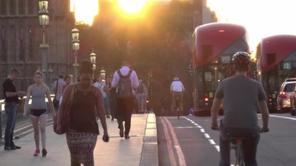 Лондон Англия Сентября 2016 Лондон Автобусы — стоковое видео