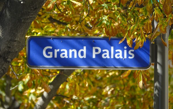 Street sign in Paris - Big Palace - Grand Palais — Stock Photo, Image