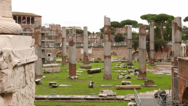 Roman Forum Římě Jeden Hlavních Turistických Atrakcí Římě — Stock video