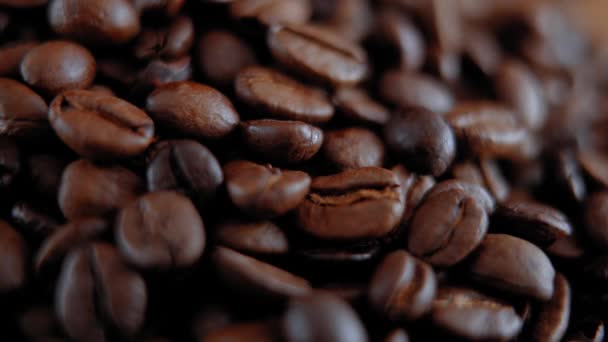 Gros plan des grains de café — Video