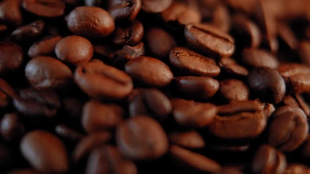 Kávová zrna - úžasné makro shot — Stock video