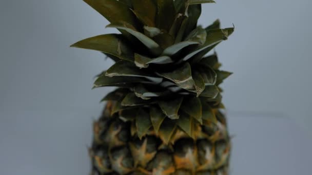 Bewegende studio sot van een ananas — Stockvideo