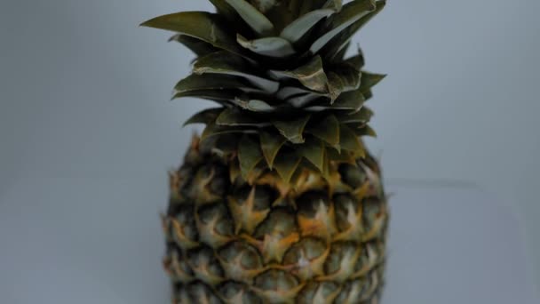 Sot di studio commovente di un ananas — Video Stock