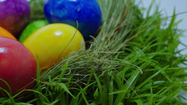 Close Up shot of a Easter Eggs — Stock Video