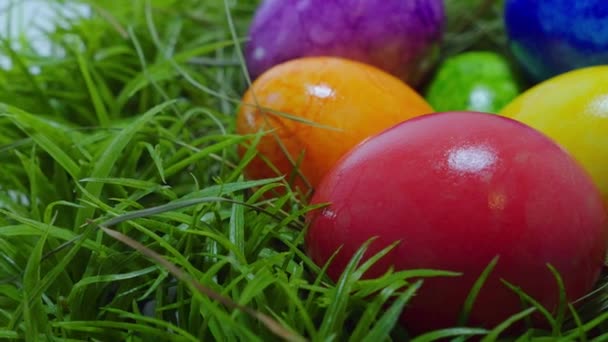 Œufs de Pâques colorés dans un nid