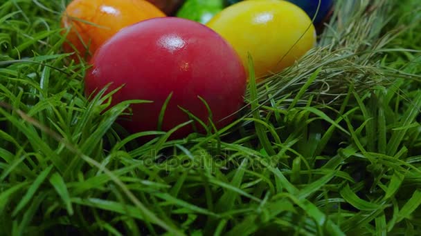 Se encuentra en la hierba - un nido con huevos de Pascua — Vídeo de stock