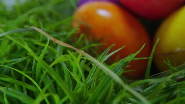 Œufs de Pâques colorés dans un nid