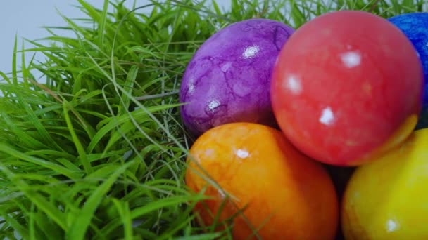 Los colores de la Pascua - un nido con huevos de Pascua — Vídeo de stock