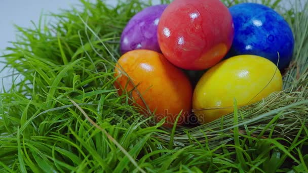 Huevos de Pascua coloridos en un nido — Vídeo de stock