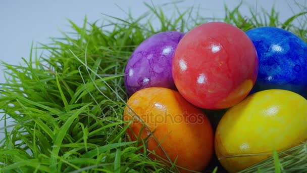 Les couleurs de Pâques - un nid avec des œufs de Pâques 