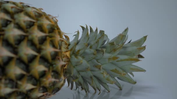 Fresh pineapple - close up shot — Stock Video