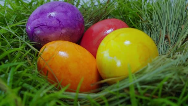 Les couleurs de Pâques - un nid avec des œufs de Pâques 