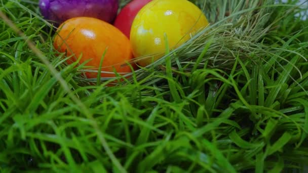 Huevos de Pascua coloridos en un nido — Vídeo de stock