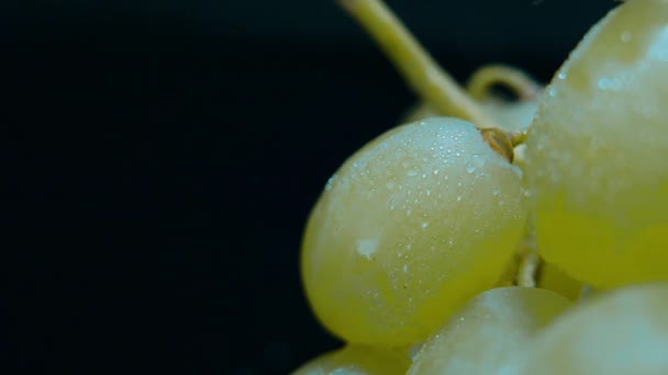 Un ramo de uvas frescas — Vídeo de stock