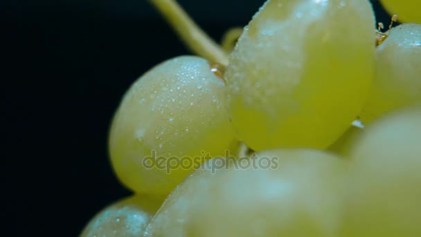 A bunch of fresh Grapes — Stock Video