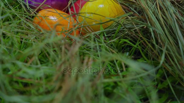 Páscoa feliz - ovos de Páscoa coloridos na grama — Vídeo de Stock