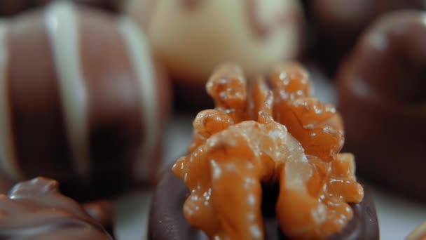 Pralines in a close up shot - sweet chocolates — Stock Video